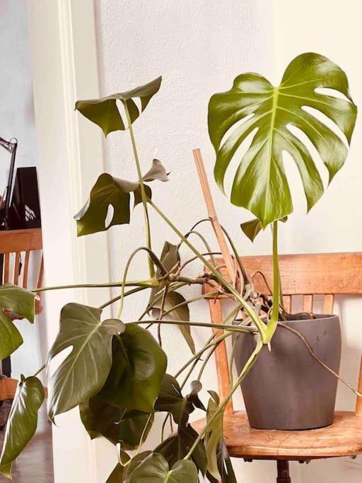 Luxus Loft Im Herzen Von Bochum Werne. エクステリア 写真